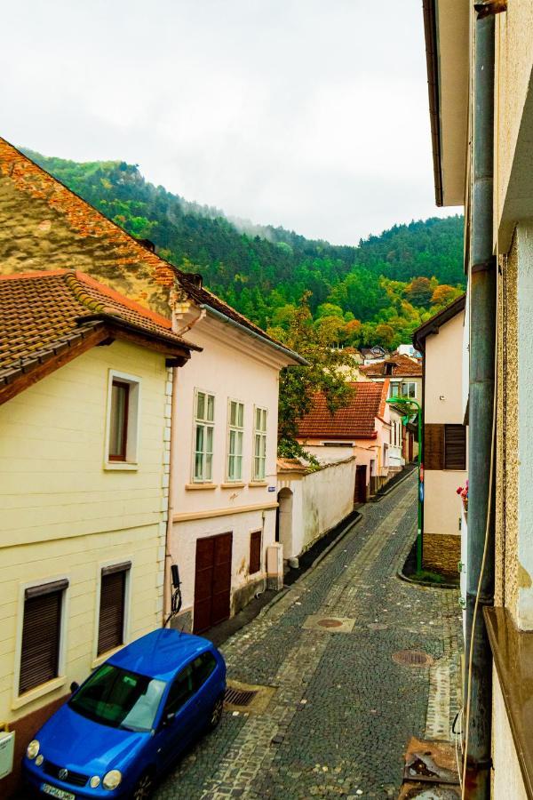 Ardor Apt - Bright And Secluded Apartment In The Heart Of Old Town Braşov Dış mekan fotoğraf